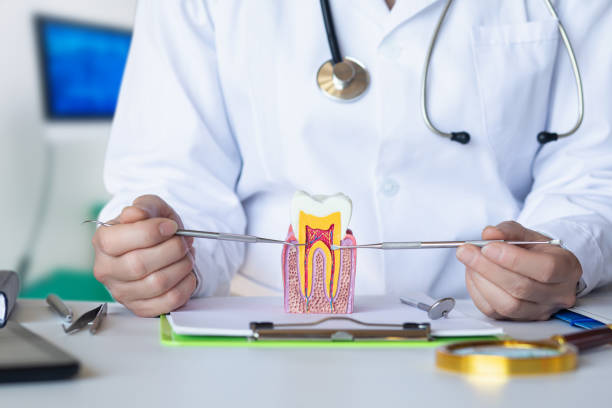 Best Emergency Dental Care for Broken or Chipped Teeth in Emmaus, PA